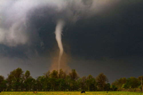 NWS confirms 5 tornado touchdowns in Cenla on Dec. 28 | Rapides Parish ...